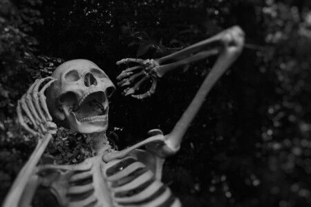 skeleton pretending to scream