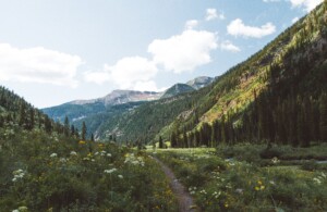 Colorado mountains and greenery
